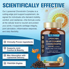 Totaria Liposomal Glucosamine Chondroitin MSM Joint Support - 120 Capsules - image 5