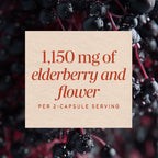 Nature's Way Black Elderberry Capsules Immune Support - 100 Count - image 4