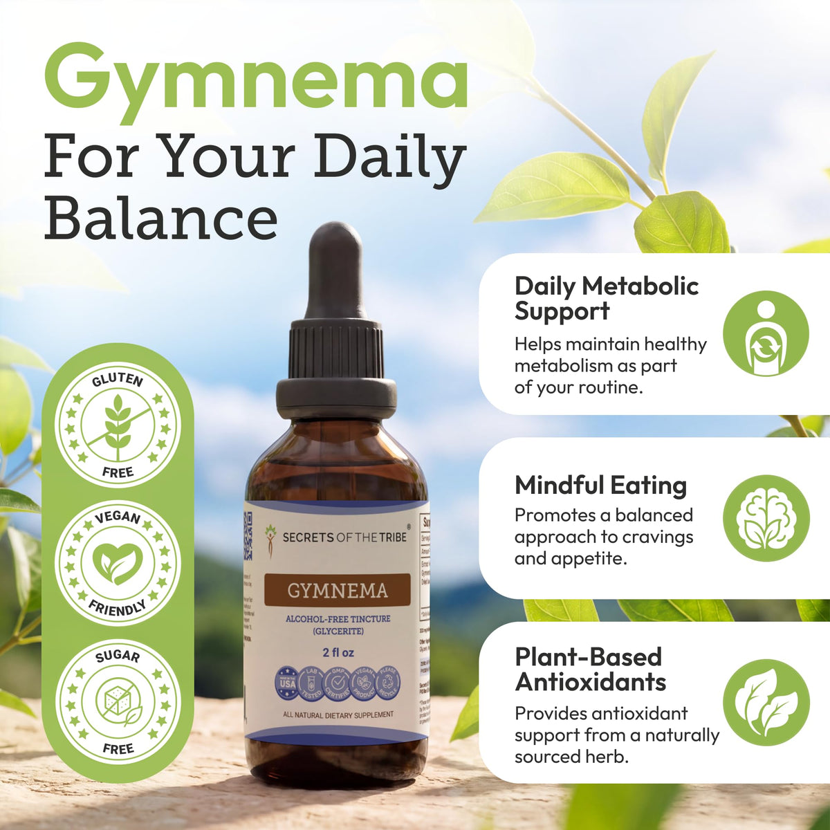 Secrets of the Tribe Gymnema Tincture Alcohol-Free Liquid Extract