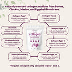 Micro Ingredients Multi Collagen Peptides Powder - 1lb - image 3