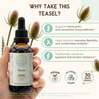 HerbEra Teasel Alcohol-Free Herbal Extract Tincture