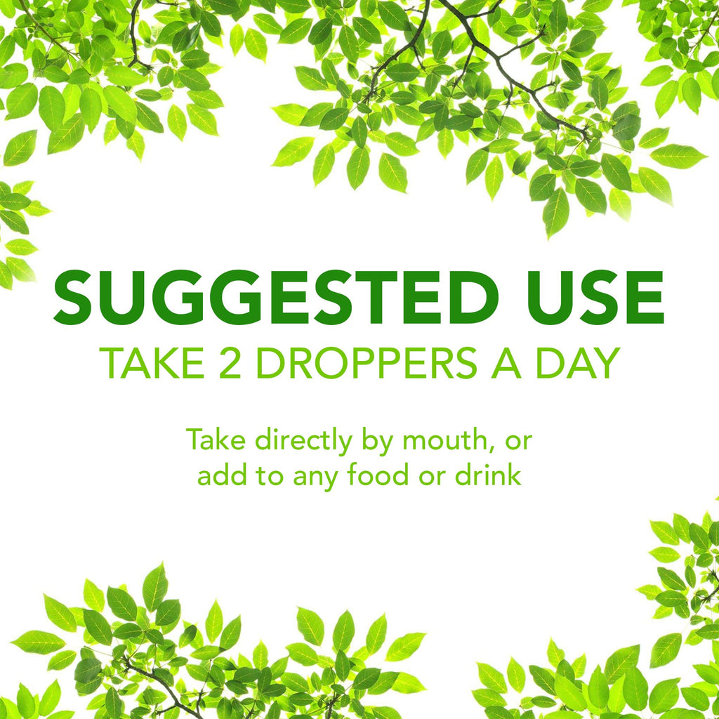 Super Natural Goods Liquid Chlorophyll Drops for Daily Wellness - 4oz - image 5
