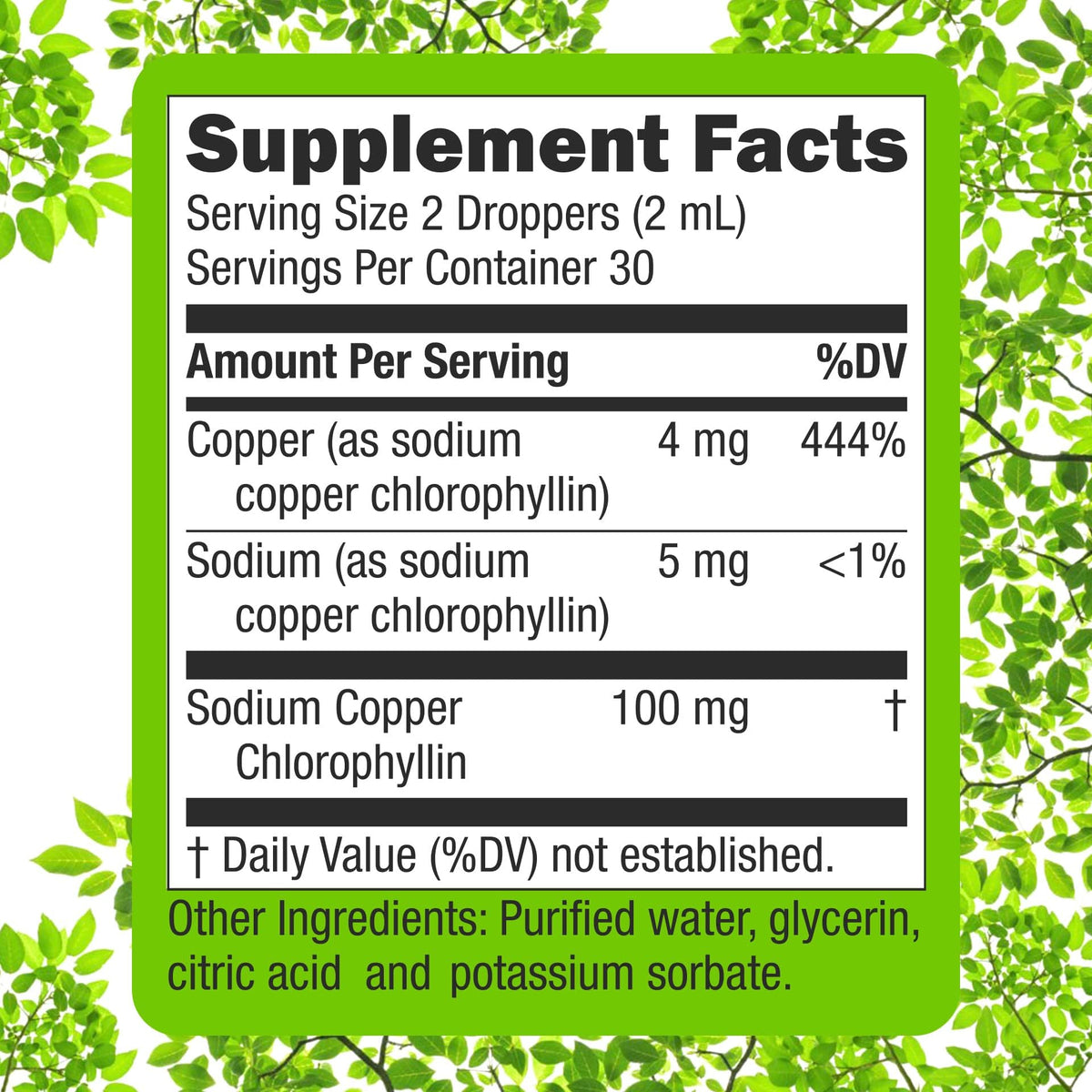 Super Natural Goods Liquid Chlorophyll Drops for Daily Wellness - 4oz - image 7
