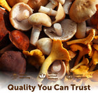 Micro Ingredients Organic Mega Mushroom Powder 10-in-1 - 10oz - image 6