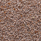 Frontier Co-op Organic Whole Psyllium Seed - 1 Pound - image 3