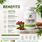 Manteniendo Tu Salud KB Support Kidney & Urinary Tract - 100 Vegetarian Capsules - image 3