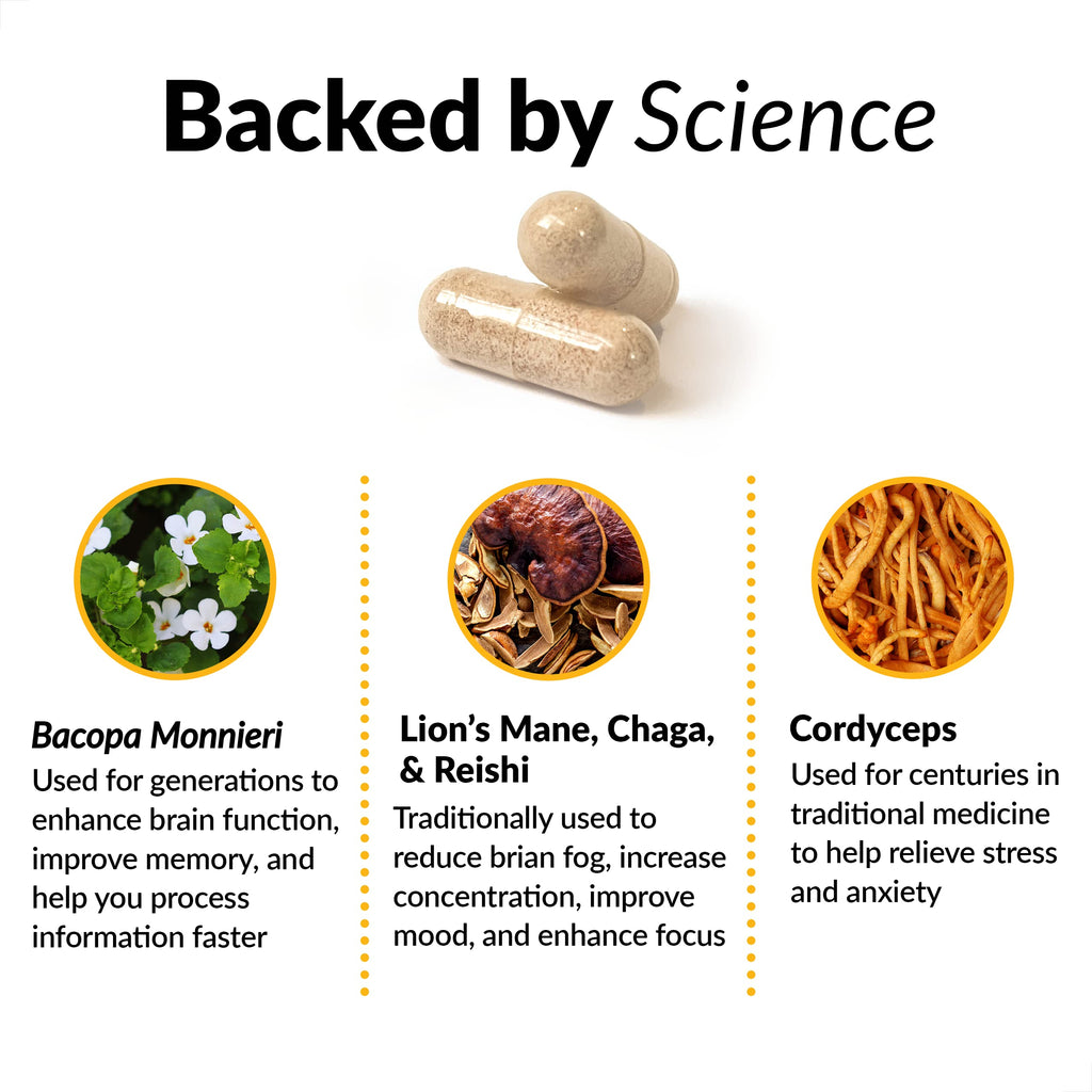 Force Factor Forebrain Nootropic Brain Supplement to Improve Memory