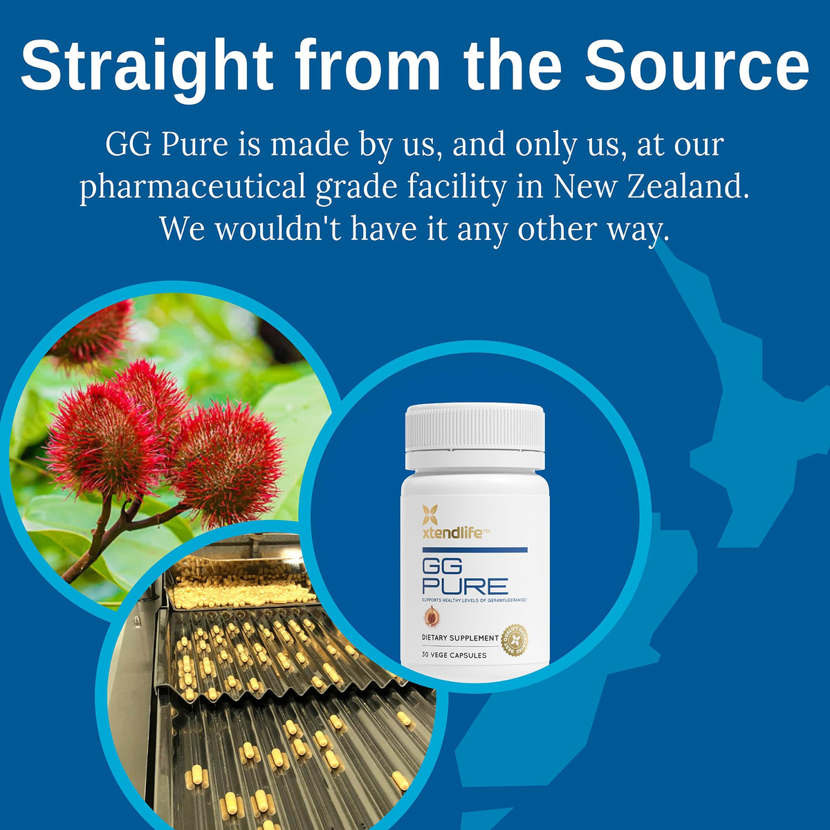 Xtendlife GG Pure Geranylgeraniol Supplement - 30 Capsules - image 4