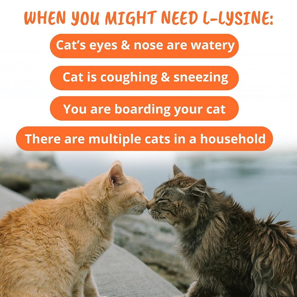 Under the Weather Pet Daily Cat L-Lysine Immune Support - 60 Chews - image 5