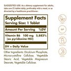 Solgar Vitamin B-6 100mg - 100 Tablets - image 2