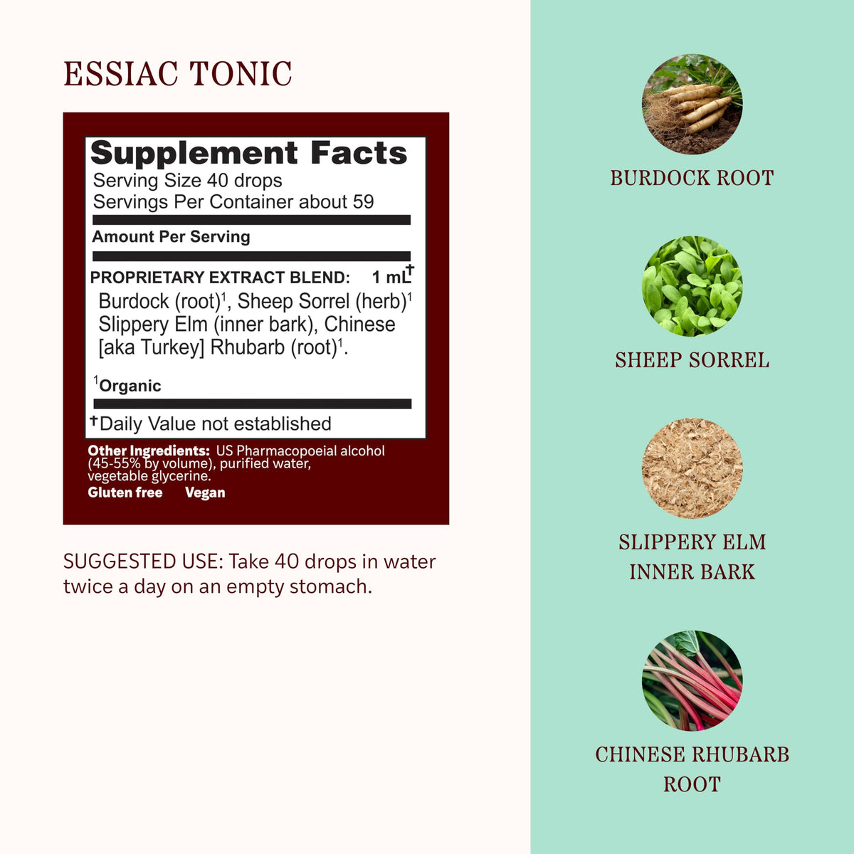 Herbs Etc. Essiac Tonic Classic Liquid Extract - 2 fl oz - image 4