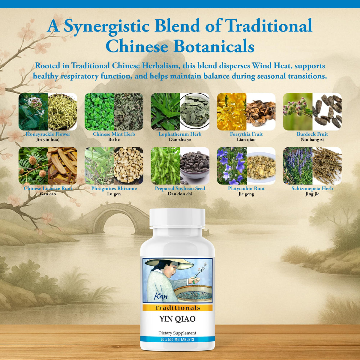 Kan Herb Company Yin Qiao Formula Herbal Supplement - 60 Tablets - image 4