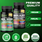 AyBet Sea Moss Shilajit Combo Bundle
