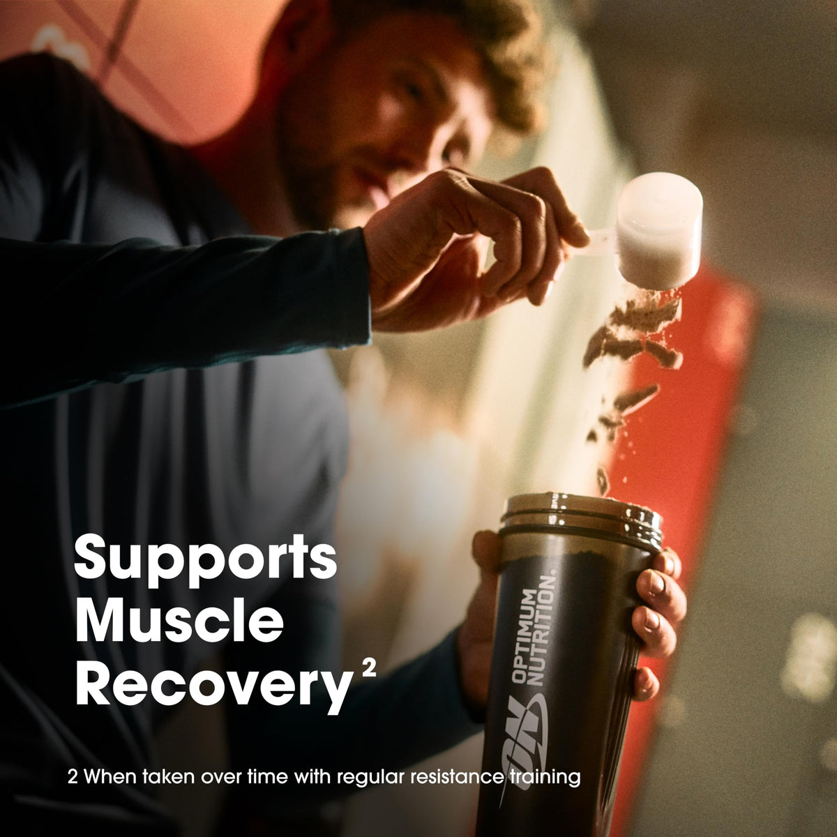 Optimum Nutrition Protein Supplement Powder