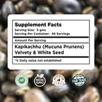 Herbsforever Mucuna Pruriens Powder 2X Potency Extract - 230g - image 4