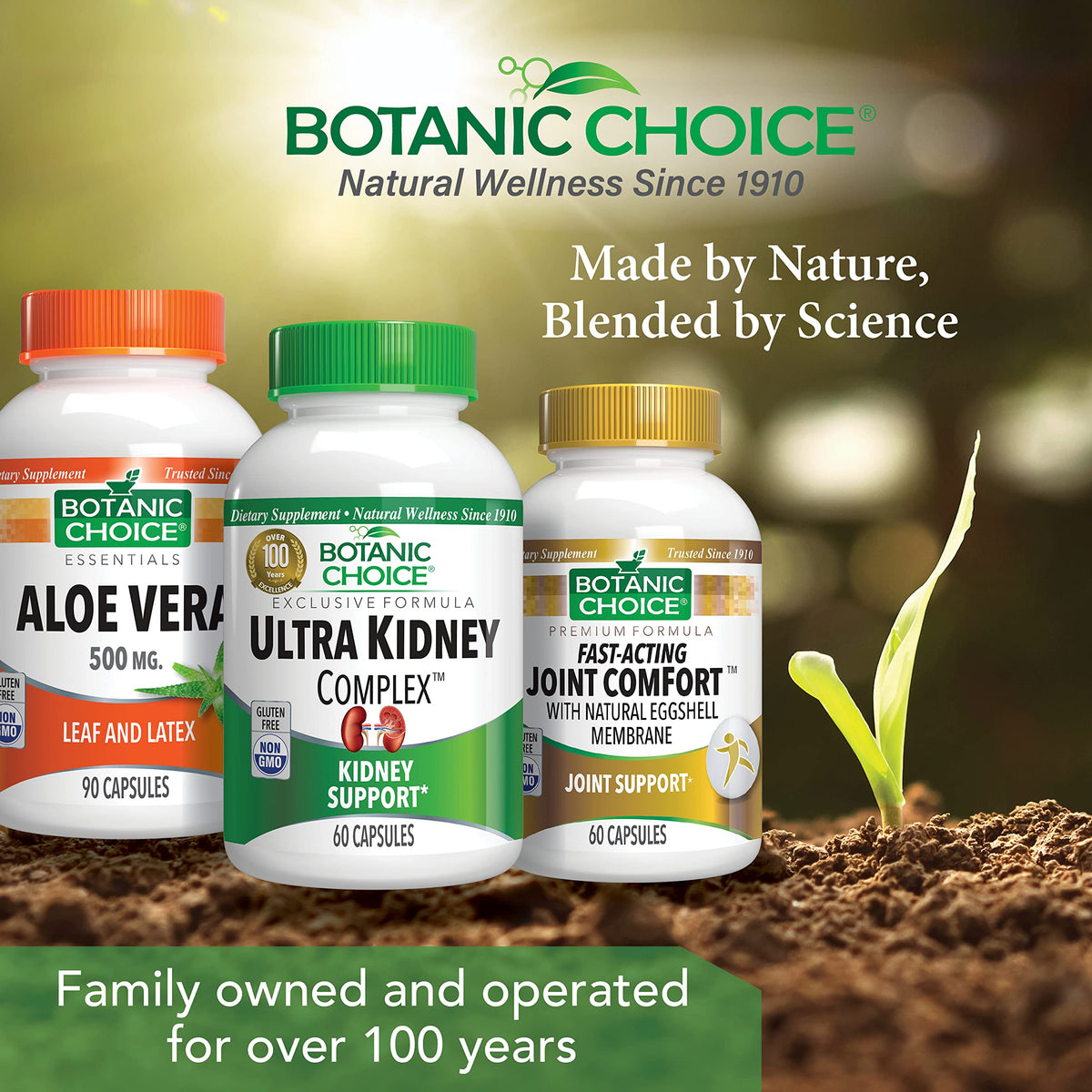 Botanic Choice Ultra Kidney Complex Kidney Support - 60 Capsules - image 8