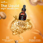 KIKI Green 8 Mushrooms Liquid Extract Drops for Cognitive Support - image 8