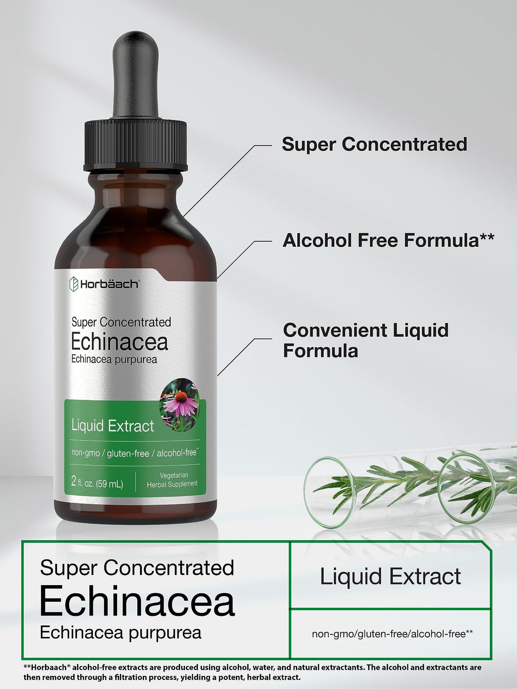 Horbäach Echinacea Drops Herb Tincture - 2 fl oz - image 4