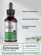 Horbäach Echinacea Drops Herb Tincture - 2 fl oz - image 4