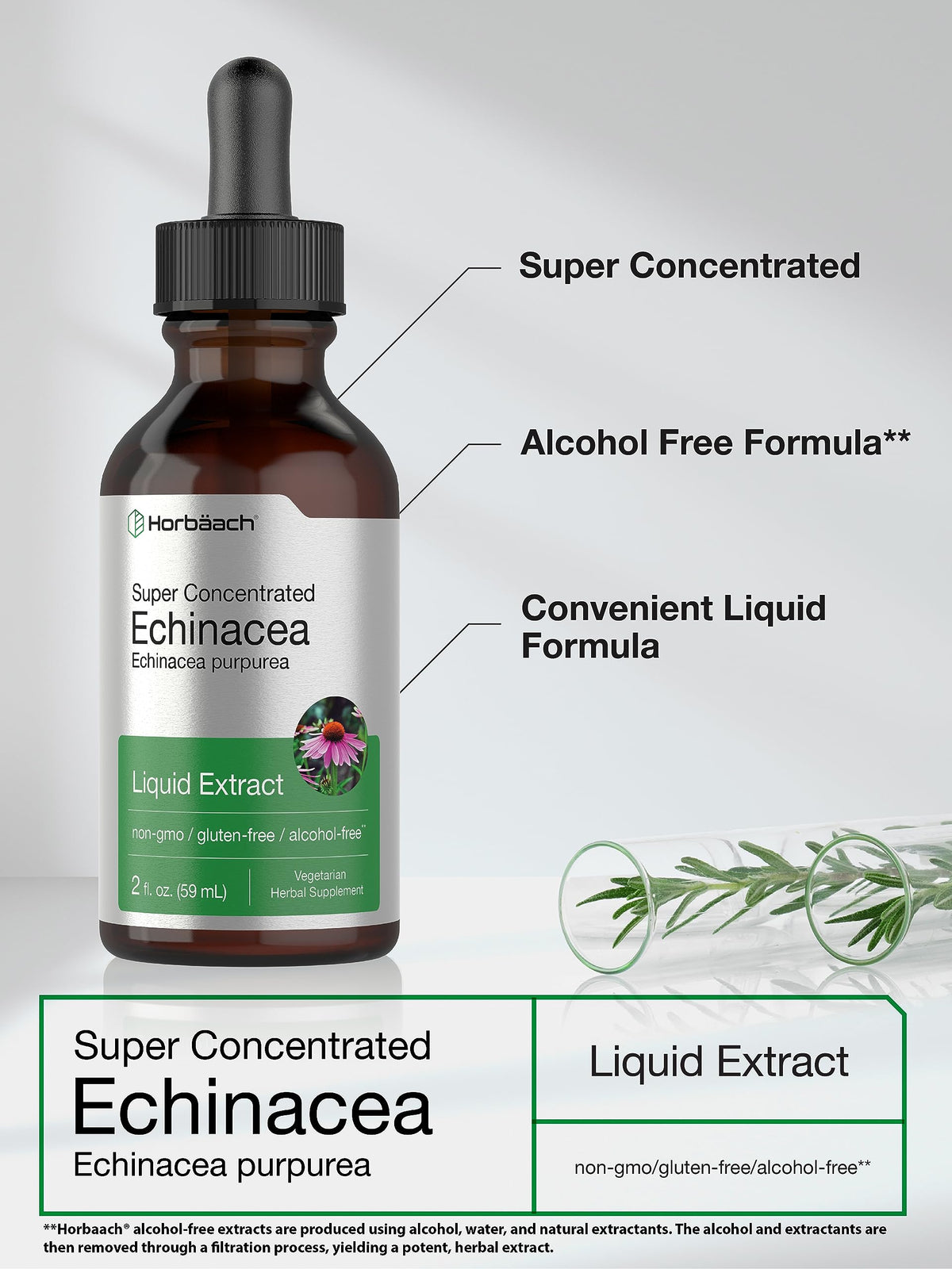 Horbäach Echinacea Drops Herb Tincture - 2 fl oz - image 4