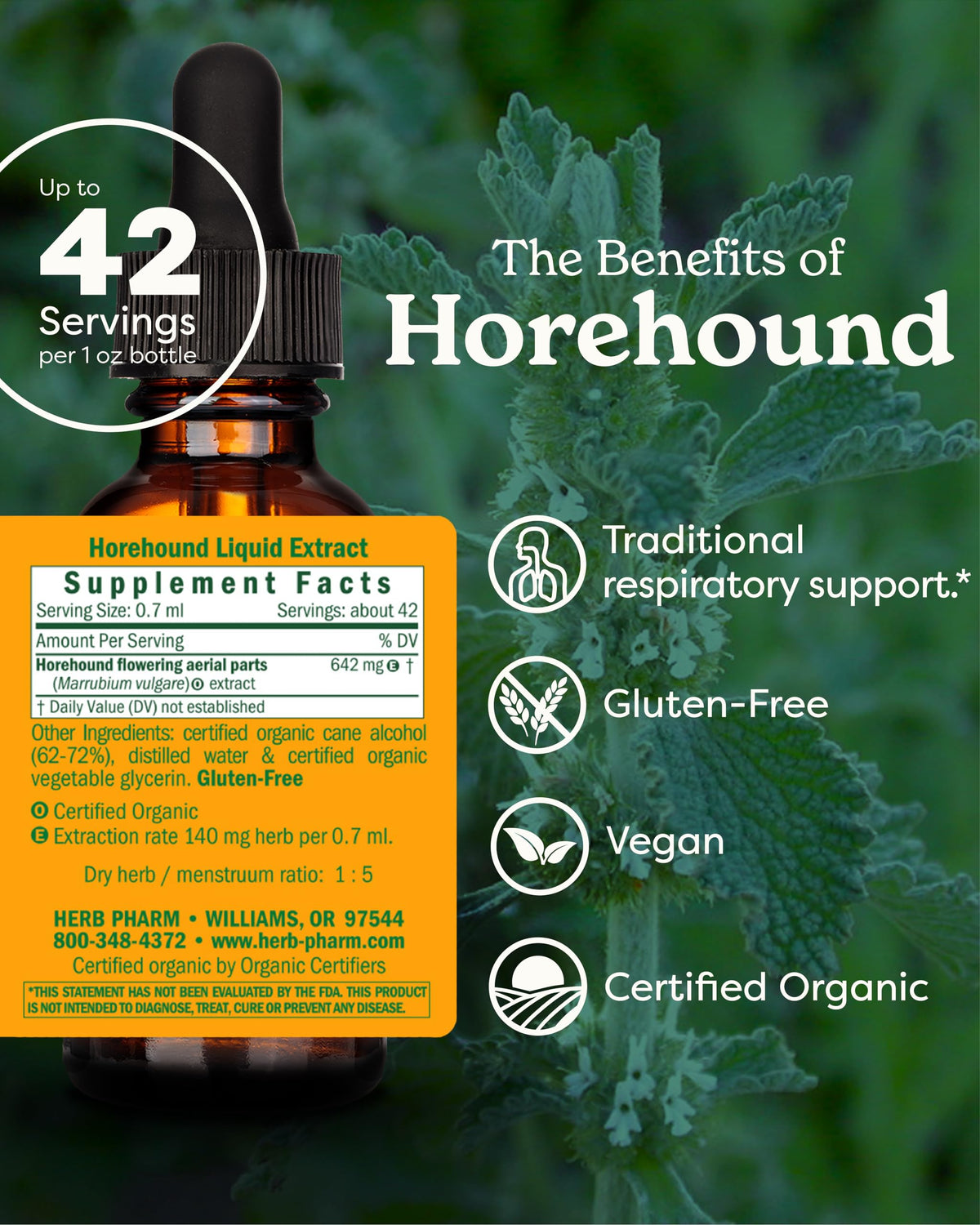 Herb Pharm Horehound Liquid Extract for Respiratory Support - 1 Fl Oz - image 2
