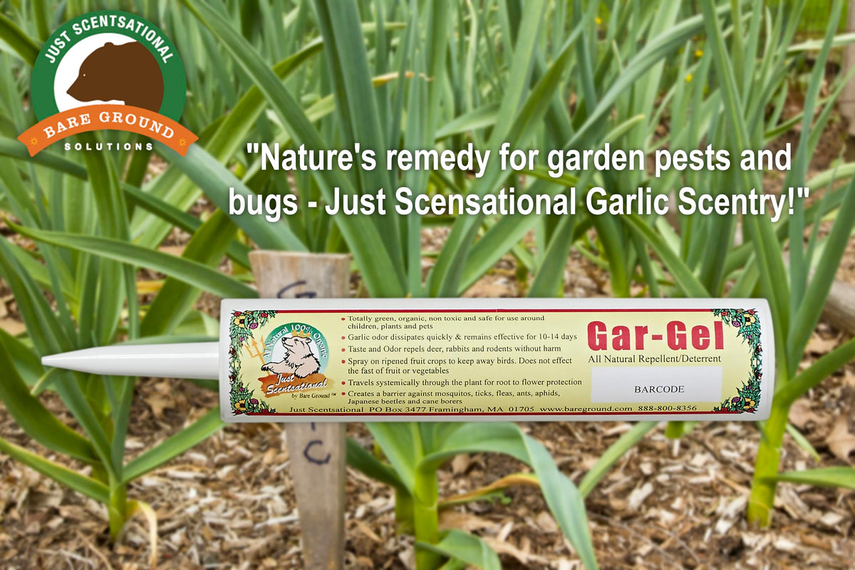 Bare Ground Solutions Garlic Barrier Repellent Gel - 10-inch Tube - image 2