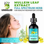 Undelio Herbal Mullein Leaf Extract Tincture - 4 fl. Oz - image 9