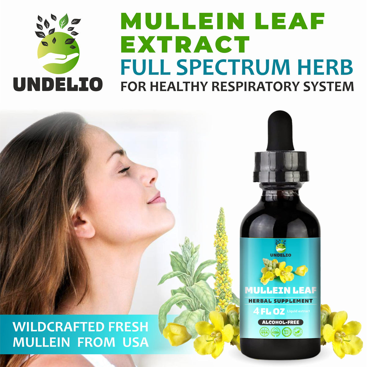Undelio Herbal Mullein Leaf Extract Tincture - 4 fl. Oz - image 9
