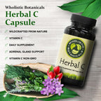Wholistic Botanicals Herbal C Capsule Vitamin C - 100 Capsules - image 3