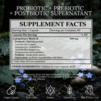 BioImmersion Supernatant Synbiotic Probiotic Prebiotic Postbiotic - 60 Capsules - image 4