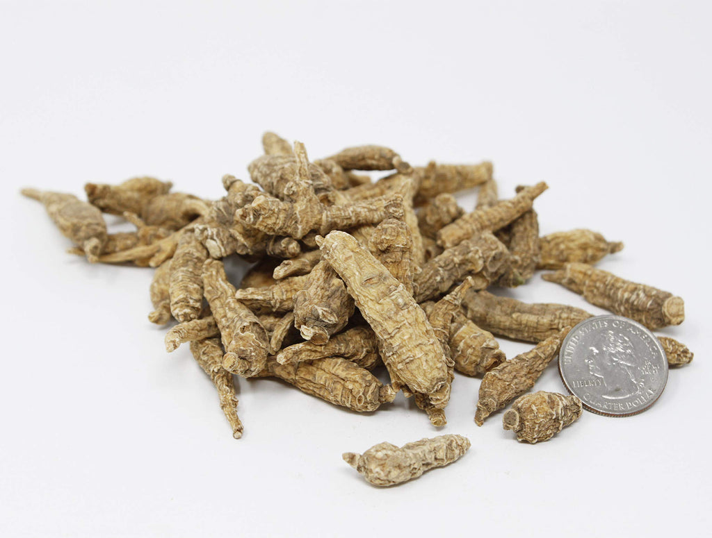 DABC OAK LAND American Ginseng from Wisconsin
