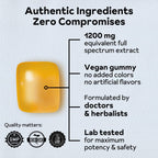 Reprise Turmeric Gummies for Women - image 2