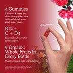 Garden of Life Organics Kids Multivitamins Gummies - 120 Count - image 5