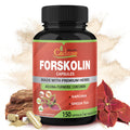Organic Cadane Forskolin Supplement with Turmeric & Green Tea - 150 Capsules