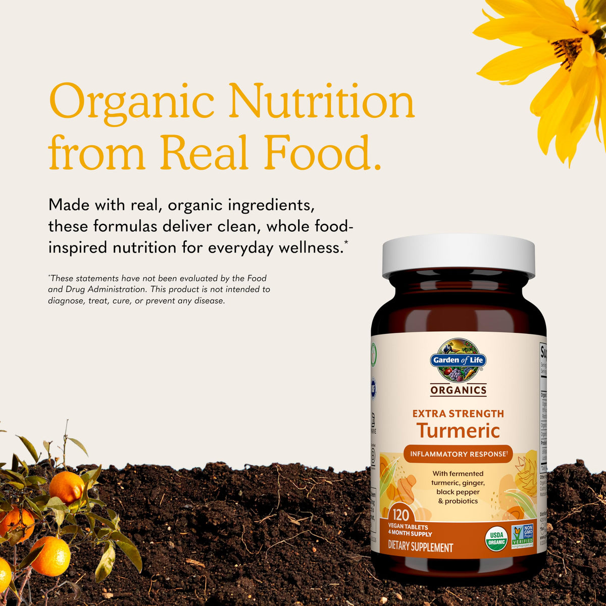 Garden of Life Organics Turmeric Extra Strength