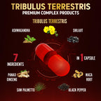 Zolotus Tribulus Terrestris Herbal Supplement - 90 Capsules - image 5