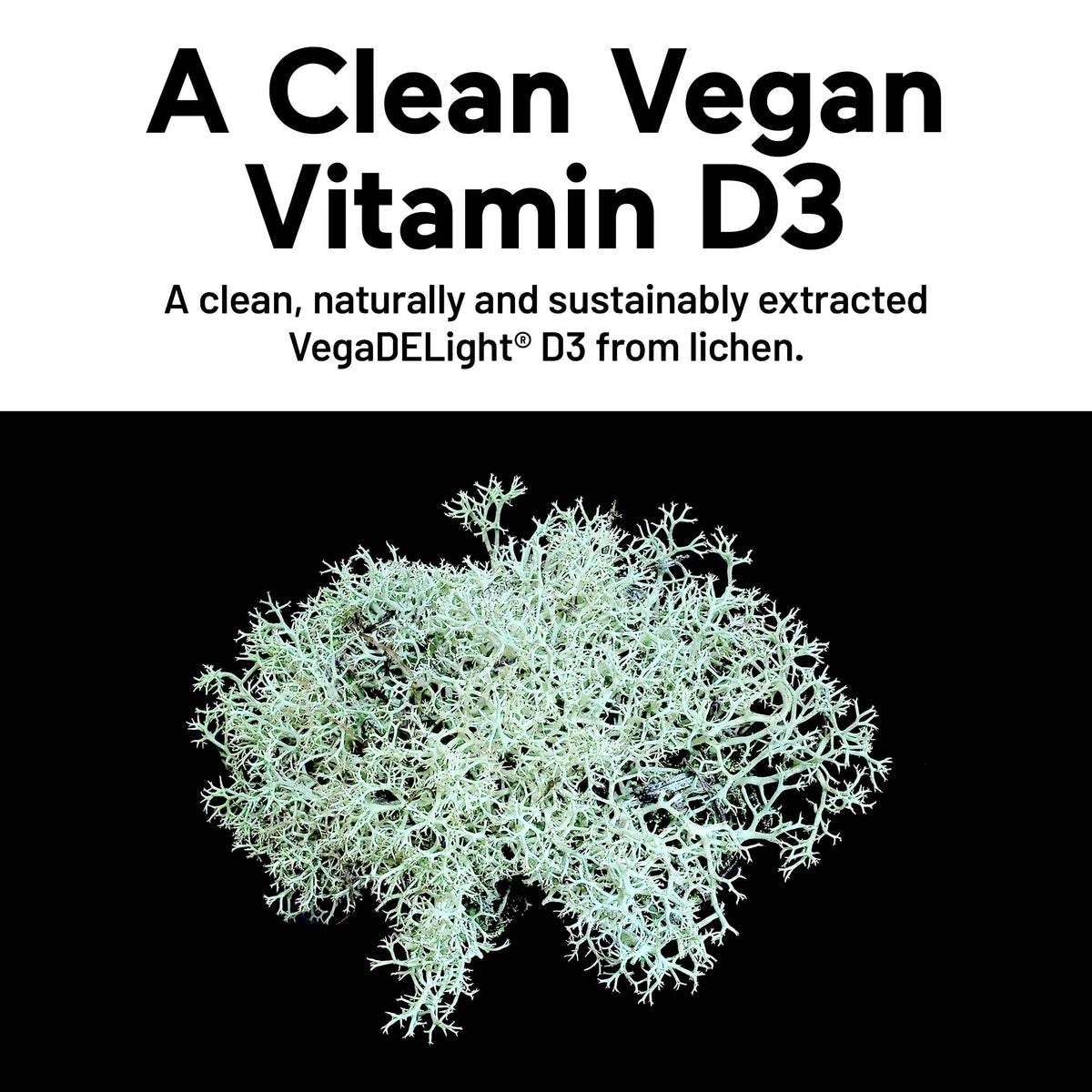 SMARTERNUTRITION Plant-Based Vitamin D3 with Vegan K2-5000 IU