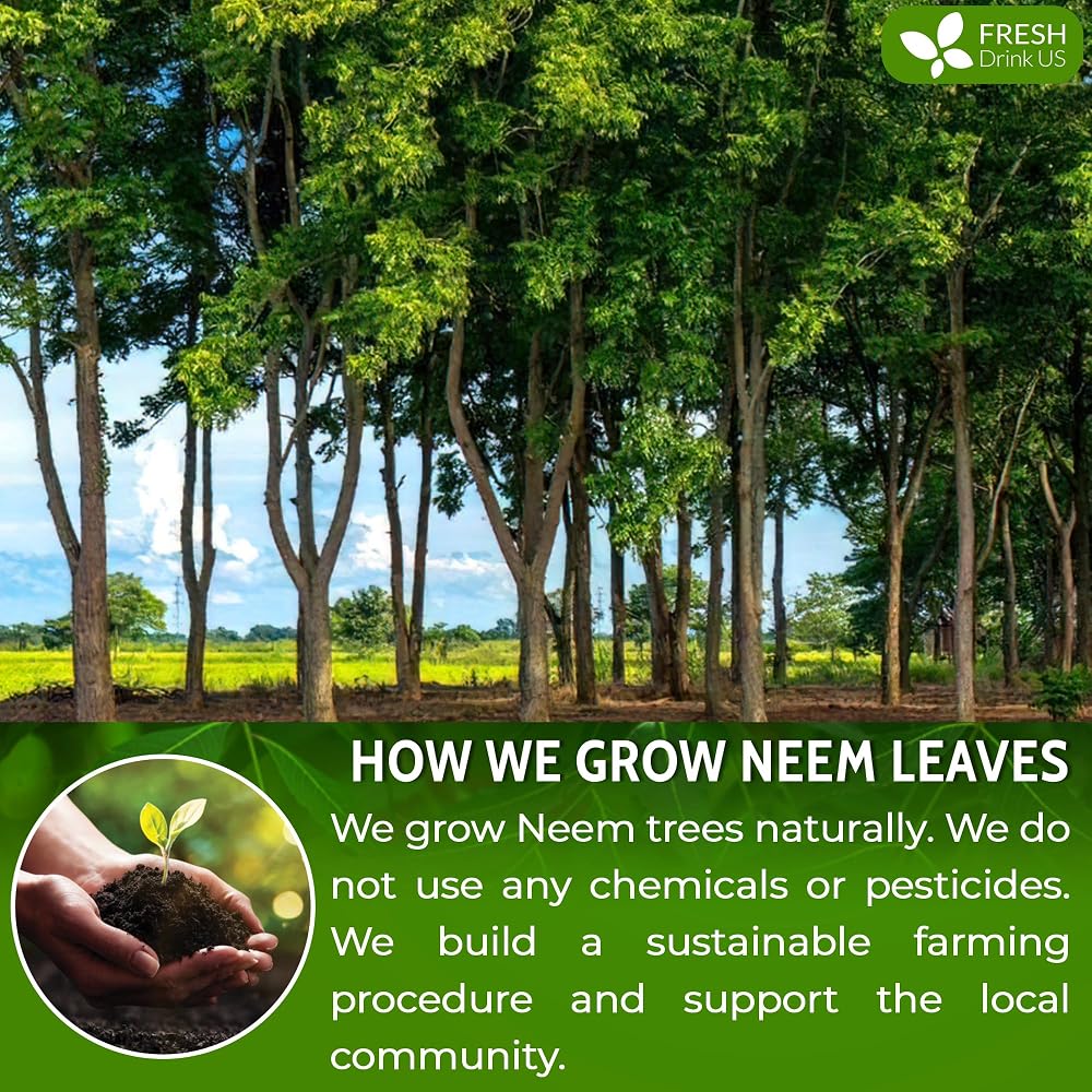 FreshDrinkUS Neem Leaf Powder 100% Natural - 6oz - image 4