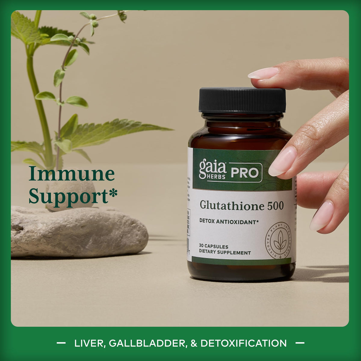 Gaia Herbs PRO Glutathione 500 Antioxidant - 30 Capsules - image 3