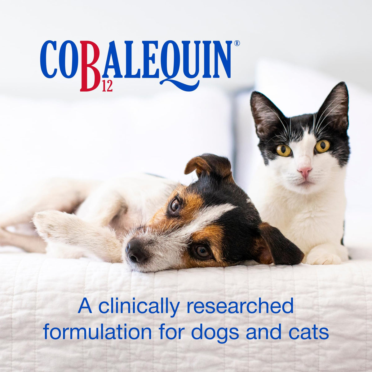 Nutramax Cobalequin B12 Supplement for Cats and Small Dogs - 45 Tablets - image 2