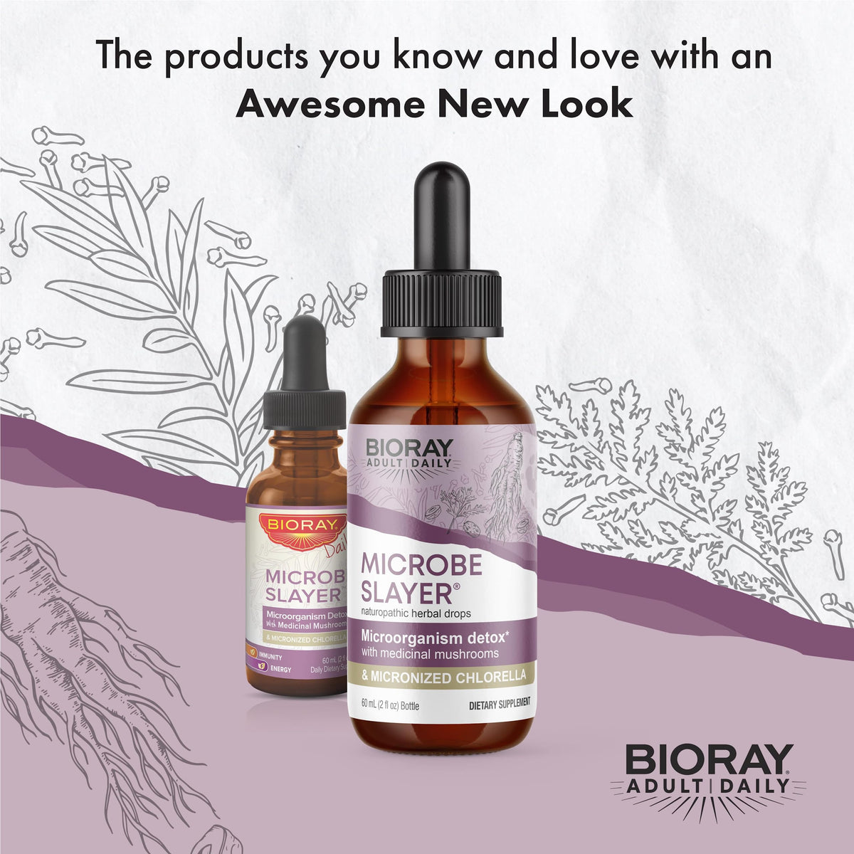 BIORAY Daily Microbe Slayer Digestive Supplement - 2 fl oz - image 3