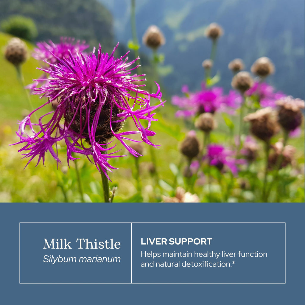 Eclectic Institute Milk Thistle Glycerite Herbal Supplement - 1 fl oz - image 3