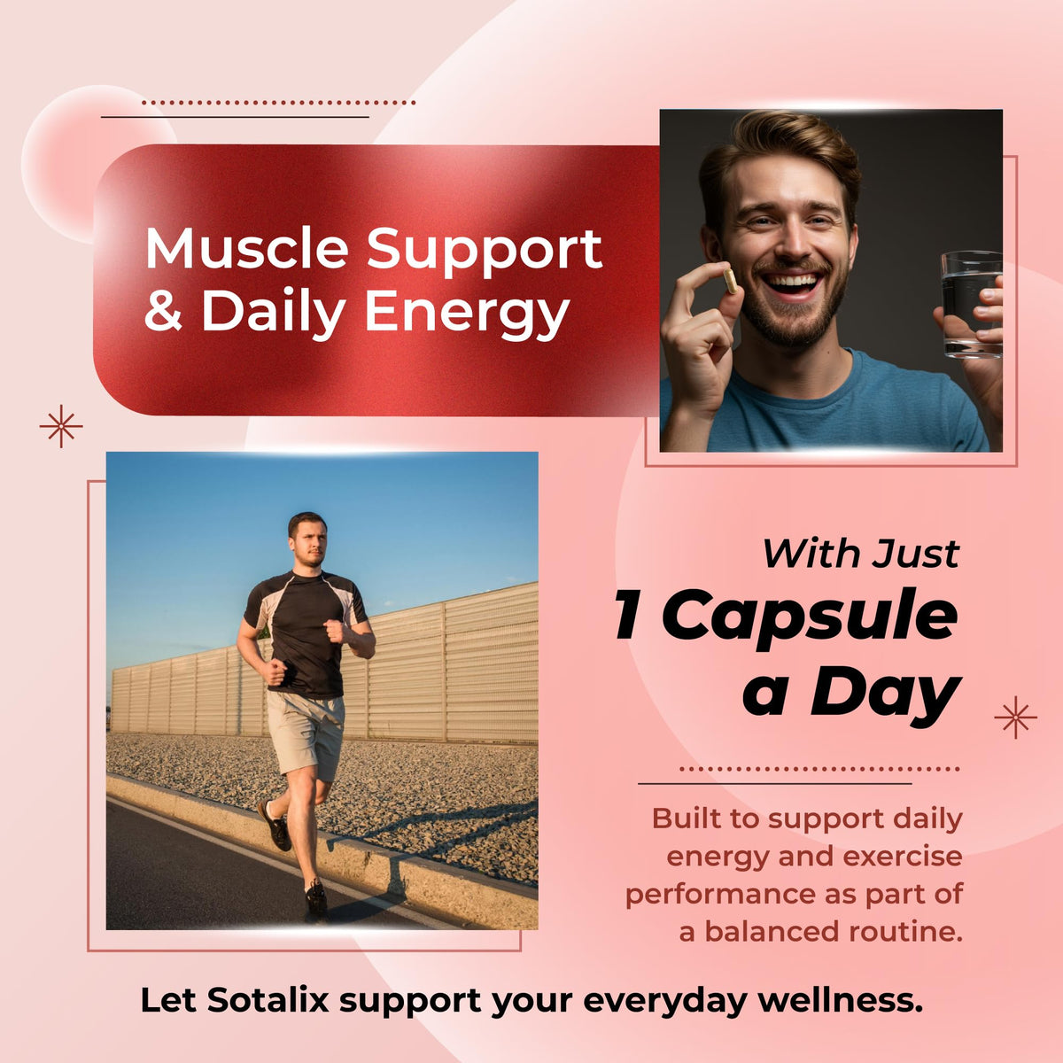 Sotalix Turkesterone Complex 8-in-1 with Maca & Tribulus - 150 Capsules - image 2