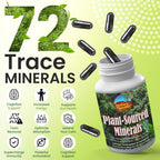 Outback Naturals Fulvic Humic Mineral Blend - 60 Capsules - image 2