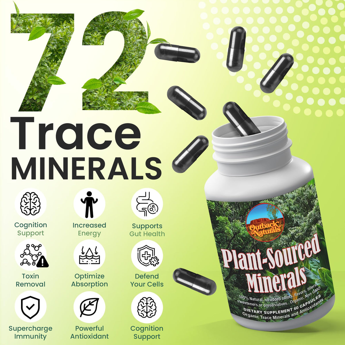 Outback Naturals Fulvic Humic Mineral Blend - 60 Capsules - image 2