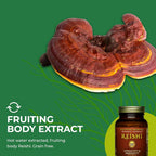 HEALTHFORCE SUPERFOODS Integrity Extracts Reishi - 90 Capsules - image 6