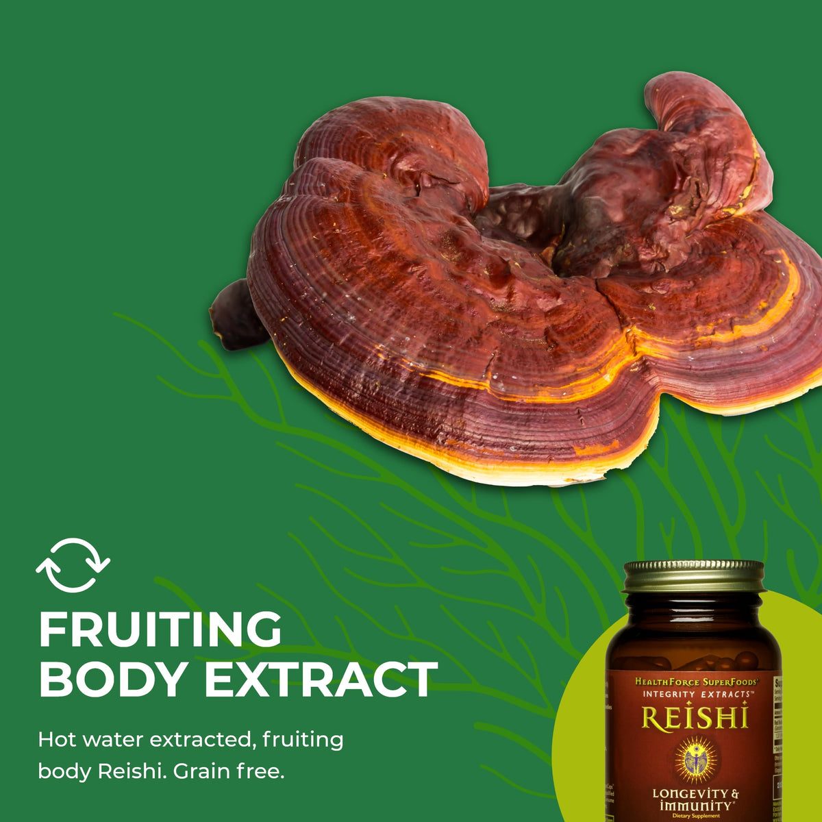 HEALTHFORCE SUPERFOODS Integrity Extracts Reishi - 90 Capsules - image 6