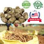 DABC OAK LAND Premium America Ginseng - Natural Energy Booster
