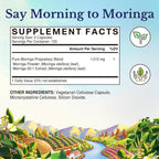 Vitalitown Moringa Capsules 11,000 MG, Pure Moringa Oleifera Leaves