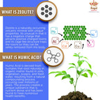 Zeo Health Zeolite-AV Capsules Immune Support - 90 Capsules - image 4